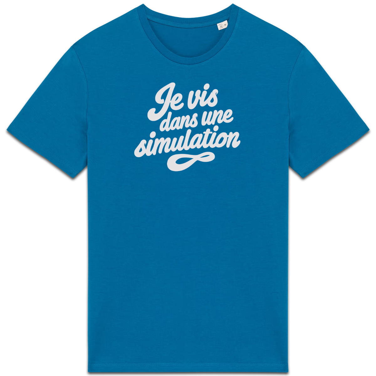Je vis dans une simulation — Bleu — recto