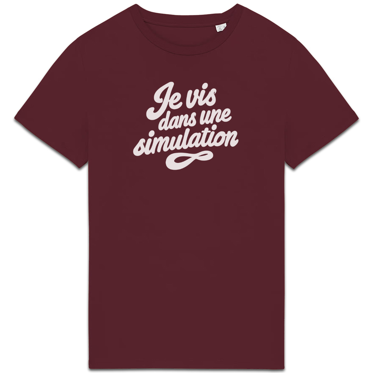 Je vis dans une simulation — Bordeaux — recto