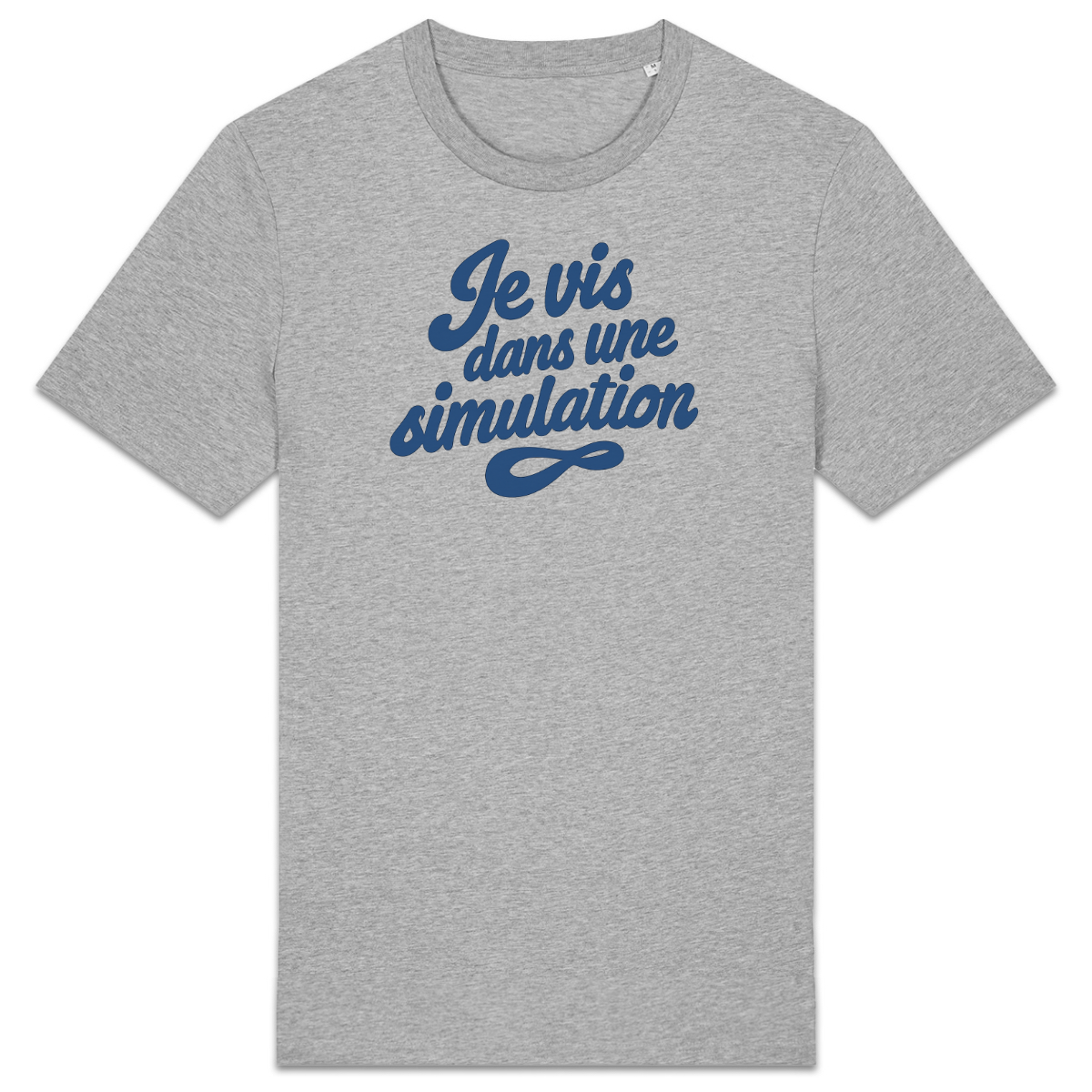 Je vis dans une simulation — Gris — recto